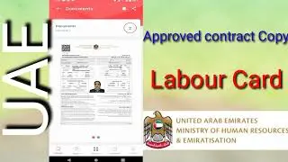 How to Get a Labour Card and Approved Labour Contract Copy in UAE