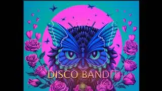 INDIE DANCE 2023 (Morning Glory set by Disco Bandit)