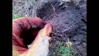 Козни водяного или сказ, как я сокровища мельника искал