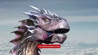 Game of Dragons Delight - Furry
