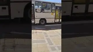 паз 3204 у которого 2 двери стоят вместе! Г.Ейск