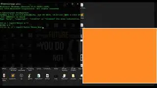 How to accept multiple Inputs in python