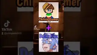 Chilvio Gamer vs Doble Flex