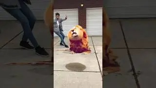 LION 🦁 