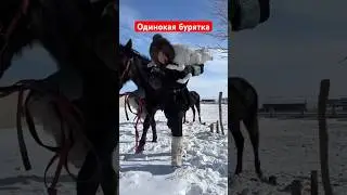 Одинокая бурятка нашла баранов в пурге. Шэнэхэнские буряты АРВМ Китай 🇨🇳