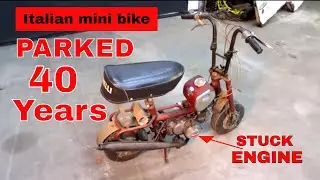 WILL IT RUN! Benelli Buzzer Mini Bike