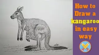 how to draw a kangaroo