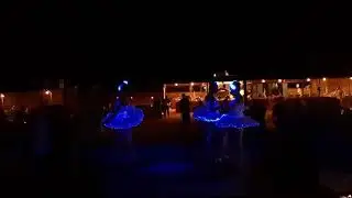 LED Ballet - Wild Goose Management