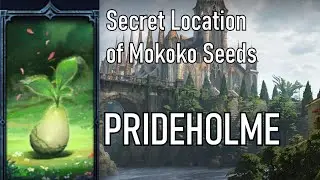Lost Ark - Secret Location of Prideholme Cathedral's Mokoko Seeds