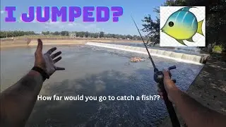 River fishing for striped BASS! (Crazy)
