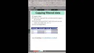 Excel - Copying filtered data | Excel in a minute 40