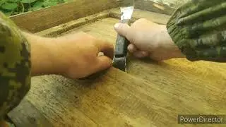 Осмотр пчелосемей...
