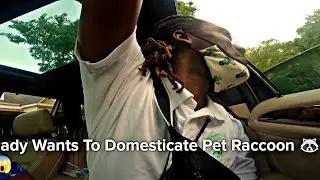 Lady Wants To Domesticate Pet Raccoon| Doing Deliveries With Travis CEO | GET PAID DAILY