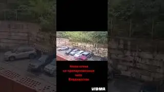 Упала стена на парковку. Владивосток.