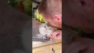 Можно целовать котиков или нет?