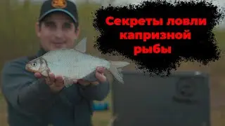 Рыбалка на фидер. Ловля леща и подлещика. Поклёвки на фидер.