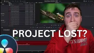 How To Fix Media Offline Error In Davinci Resolve