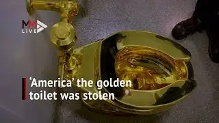Loo looting: Thieves steal $5 million gold toilet from Britain's Blenheim Palace