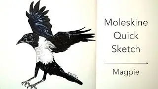 Moleskine Sketch #2