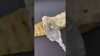 Zucchini Rollatini