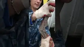 Трещетки крепим груз