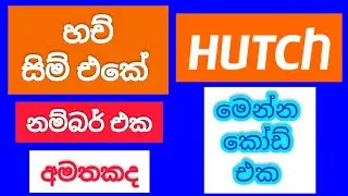 Hutch number check | Hutch sim number check | How to check hutch number | SL Viji