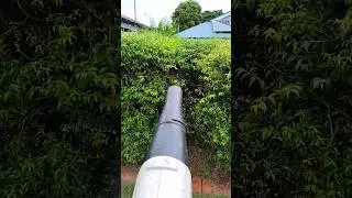 Blow drying the hedges on a rainy day so I can prune it better. #blowdry #satisfying
