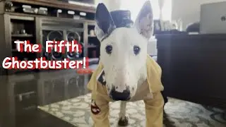 The Fifth Ghostbuster Revealed!