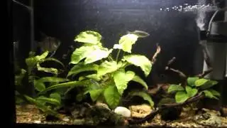 Aquarium2 HD