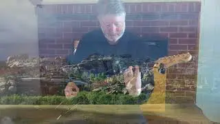 Ramblin Man by Tom Downey
