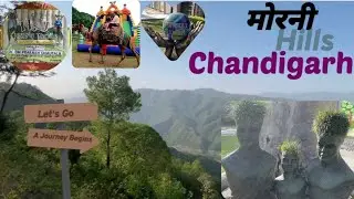 Morni Hills Chandigarh | Tikar Tal Lake । हरियाणा का स्विट्जरलैंड। Tourist Places In Chandigarh
