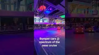 #bumpercars #cruiseship #spectrumoftheseas #shorts