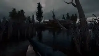 Stalker great swamp video
