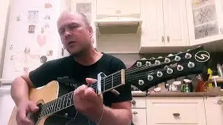 Не хотел я умирать Петлюра - исп. Андреич/Andreich 12 струнная гитара