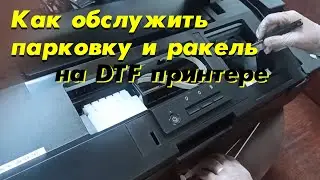 Как обслужить парковку и ракель на DTF принтере А3 формата