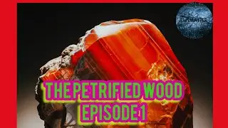 THE PETRIFIED WOOD | Episode 1 #new #story #episode #