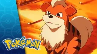 Holy Matrimony! | POKÉMON FULL EPISODE 45 | Season 1