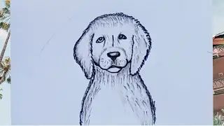 How to draw a dog easy step by step l how to draw a dog step by step l dog drawing #drawing #art