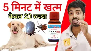 New technology || 100% tick solution in cheap. No shampoo, No power or spot on. 🔥🔥