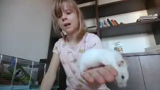 погладь Белу