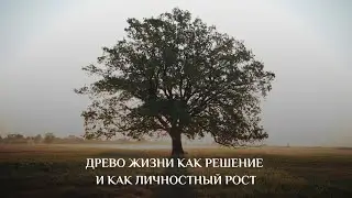 Вебинар "Древо Жизни как решение и как личностный рост"