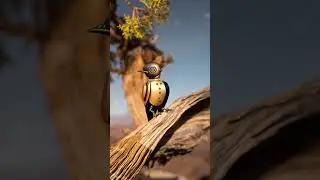 Feathers of Steel | Generative Fill for Video: After Effects & Photoshop