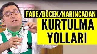 Evde böcek,fare ve karıncadan kurtulma yolları