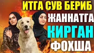 АБДУЛЛОХ ДОМЛА 2023 Итга сув бериб, жаннатга кирган Фохша  abdulloh domla yangi maruzalari