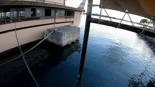 Lai on Ultralight Ajing Rod (アジングロッドでイケガツオ）