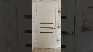 двери Я установил