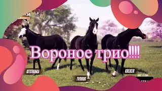 Rival Stars/ВОРОНОЕ ТРИО/ 2 часть
