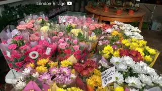 Farm Garden Shop (4K)