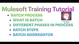 P1-S24|#mulesoft Tutorial For Beginners| What is Batch process|Mulesoft batch Process