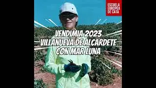 Vendimia tradicional 2023 con Mar Luna en Villanueva de Alcardete